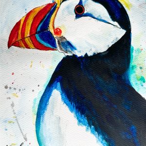Puffin